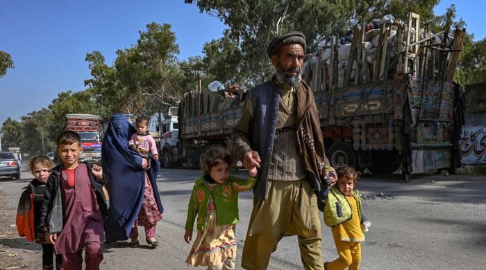 No arrests of undocumented Afghans made in KP