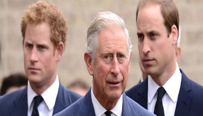 Prince Harry, Prince William are always hot and cold with King Charles