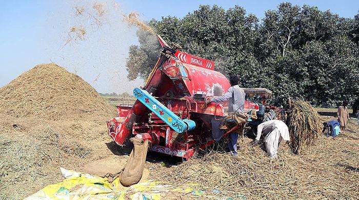 Sindh to allot 52,000 acres of state land for corporate farming
