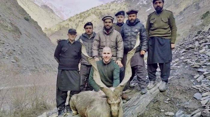 American hunts Markhor in Chitral after winning permit in historic bid