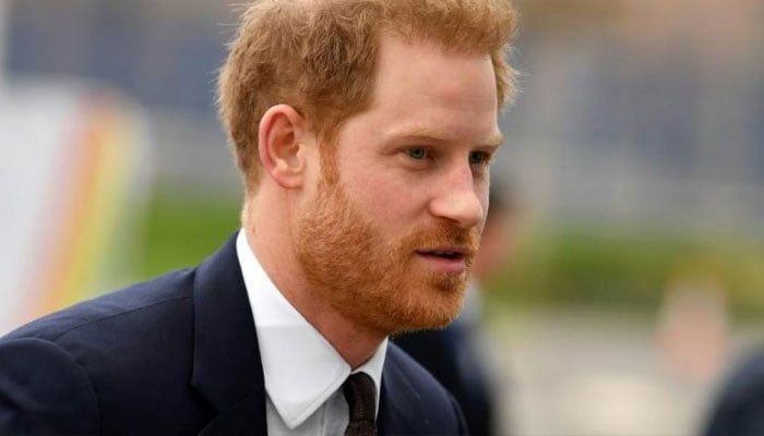Prince Harry has personal agenda behind his ‘philanthropic efforts’