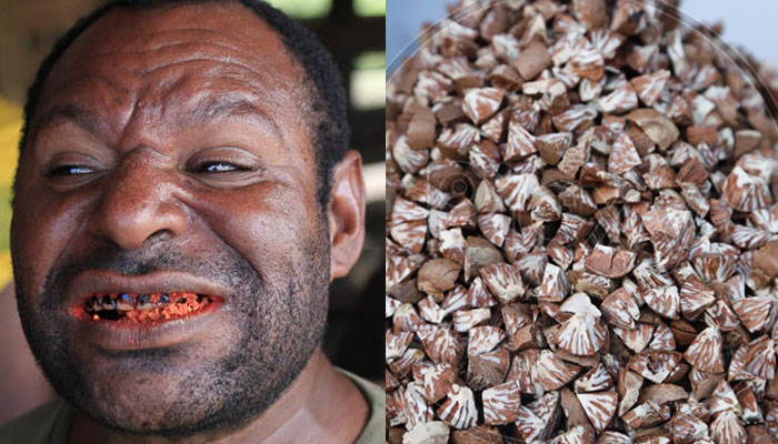 Betel nut dilemma: Tradition, addiction, and growing cancer crisis.—BBC News