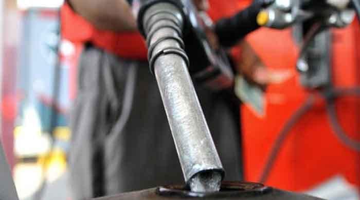 Petroleum prices likely to remain stable in next review