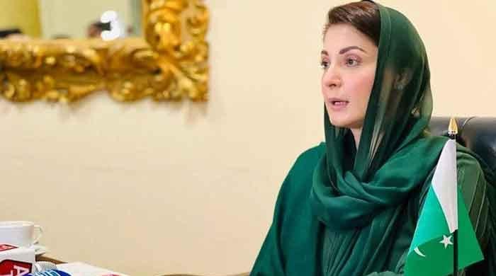 What is Maryam Nawaz's net worth? Here are details