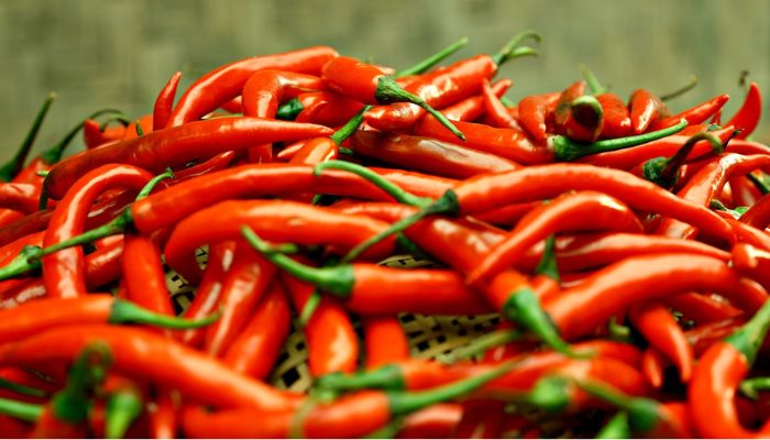 The Power of Home Remedies Unearted: Top 4 Ultimate Potent Healing Solutions