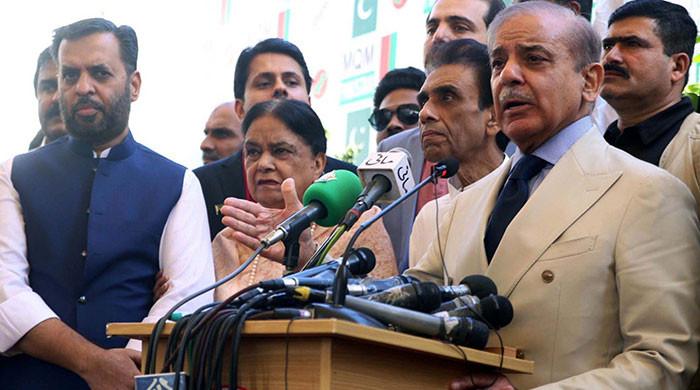 Mustafa Kamal says MQM-P has 'understanding' with PML-N