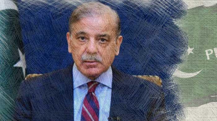 Shehbaz Sharif: What lies ahead for Nawaz's saviour?