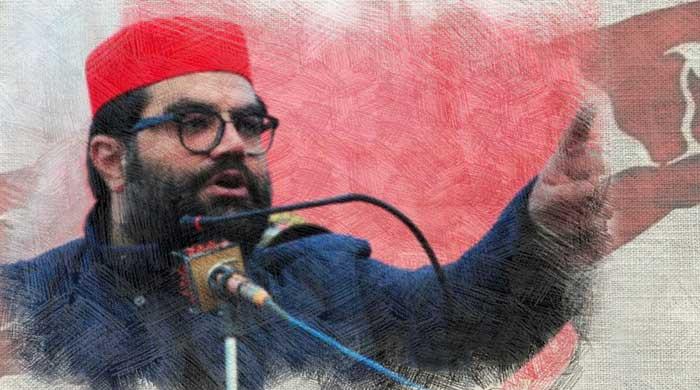 Aimal Wali Khan: Can Bacha Khan's scion-led ANP outvote rivals in Pakistan election?