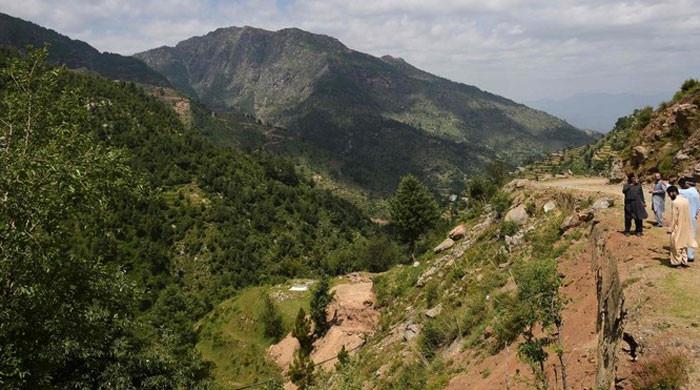 20% forest area lost to urbanisation in Pakistan