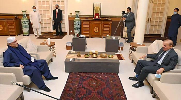 Alliances brew in Centre, Punjab as PPP, PML-N agree to form coalition govt