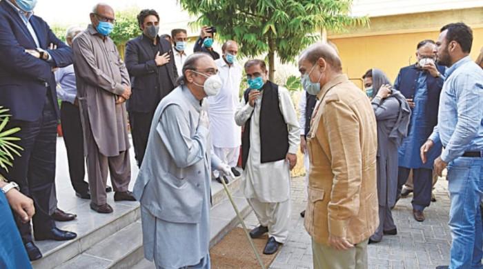 At least 18-20 newly-elected MNAs assure support to PML-N, PPP