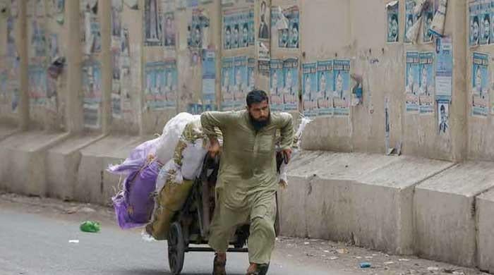 Shepherding the economy
