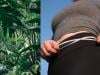 Top 5 herbs to induce weight loss naturally in adults