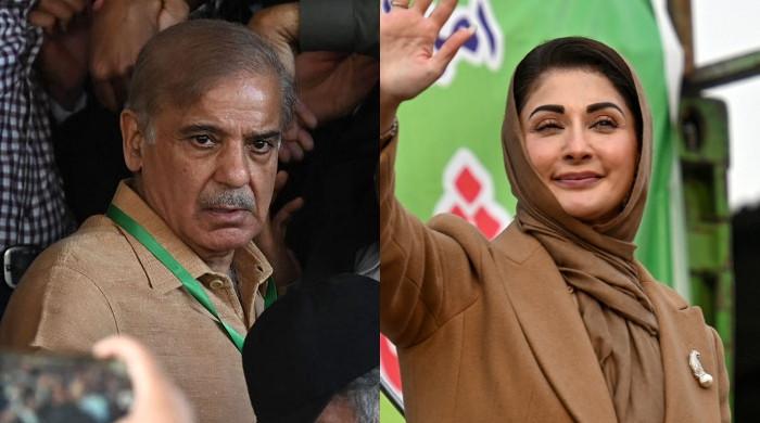 Politics at stake