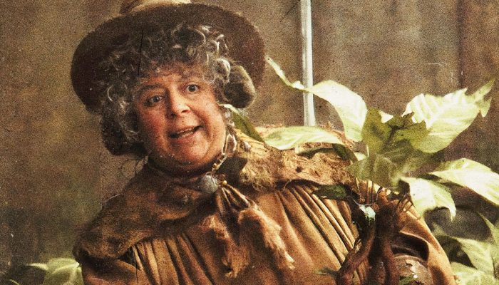 Harry Potter actor Miriam Margolyes gives brutal advice to adult fans