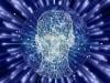 A basic guide to understanding 4 common neurodegenerative diseases