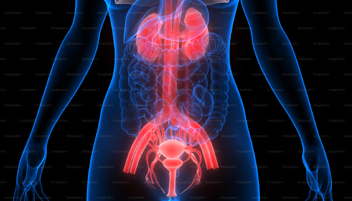 Uncovering what you need to know about colorectal cancer