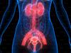 Uncovering what you need to know about colorectal cancer