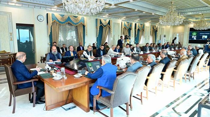 Budget 2024-25: PM Shehbaz to review development programmes in NEC meeting today