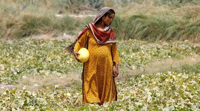 Mothers in the hot seat: Impacts of climate change on pregnant women