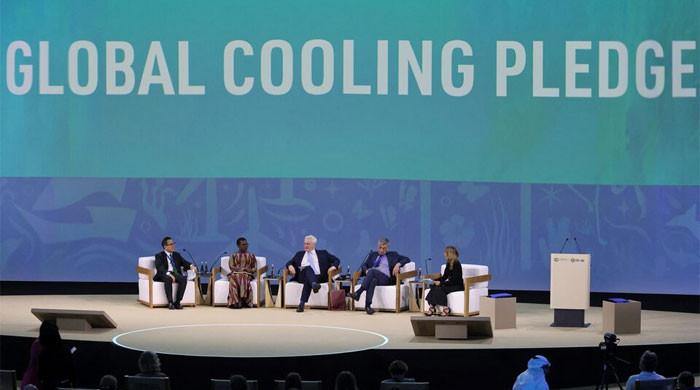 Road to COP29