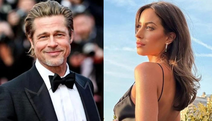 Brad Pitt, Ines de Ramon plans something special for their future: Source