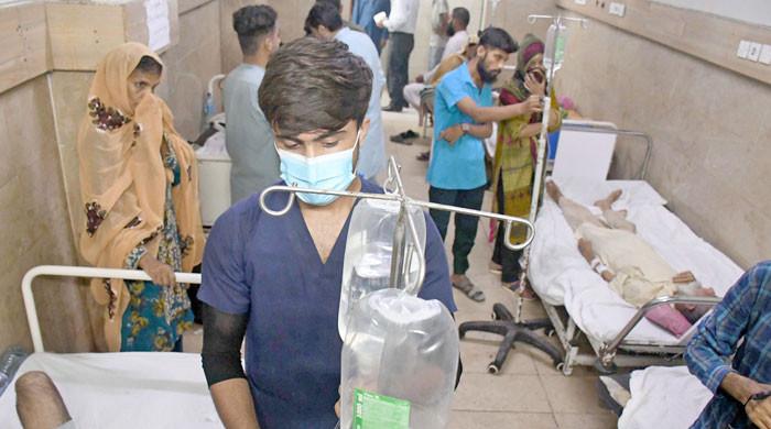 Karachi grapples with increase in dengue, malaria, other viral diseases