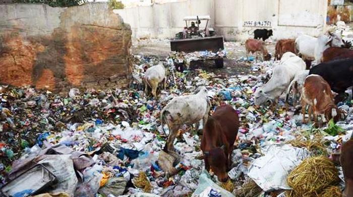 People littering on streets, footpaths in Karachi to be fined