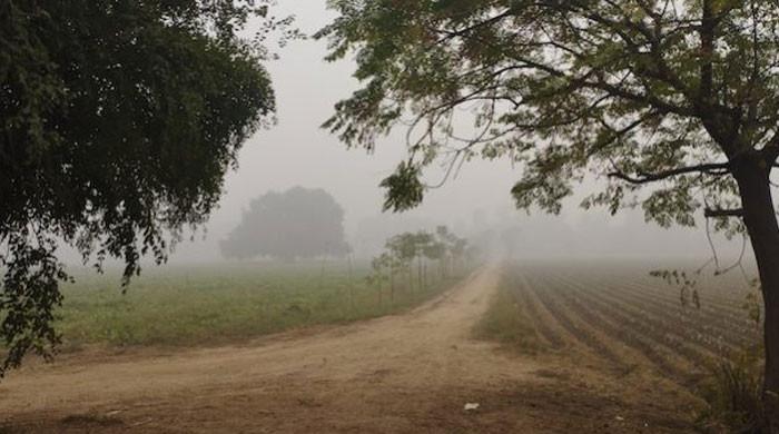Lahore's smog: With sun out, govt lifts restrictions 