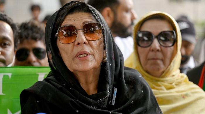 Govt offered release deal for Imran, claims Aleema Khan  