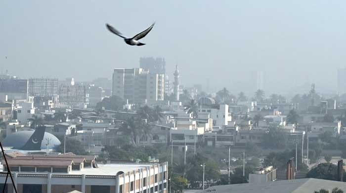Winter is here: Karachi's temperature drops to 11°C 