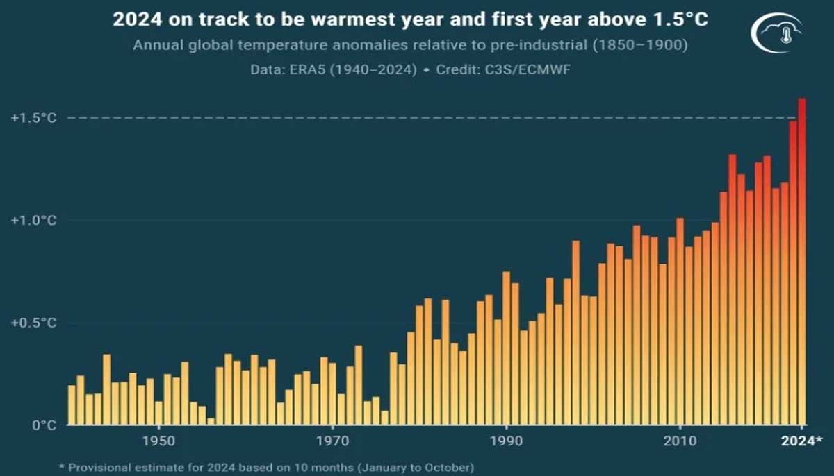 A graph showing temperature records over the decades along with the projection of 2024 temperatures based on 10-month data. &mdash; EUs C3S