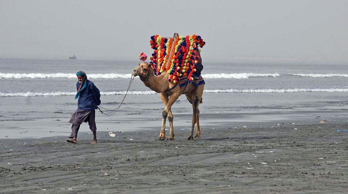 Mercury drops to single digits in Karachi, yet again