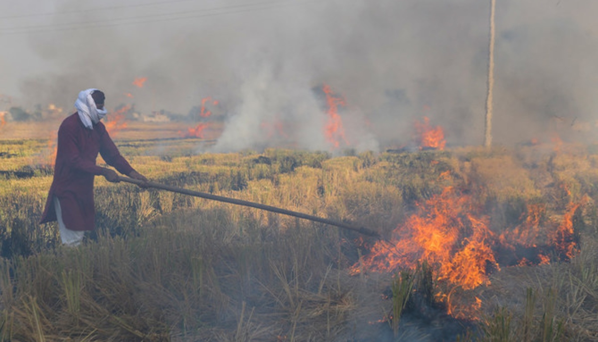 A farmer burns straw stubble after harvesting a paddy crop in a field near the India-Pakistan Wagah border, some 35 kms from Amritsar on October 19, 2020. — AFP