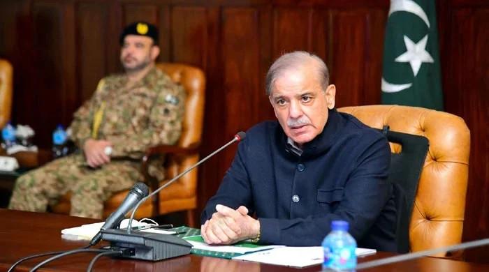 Shehbaz Sharif: Expectations and limitations