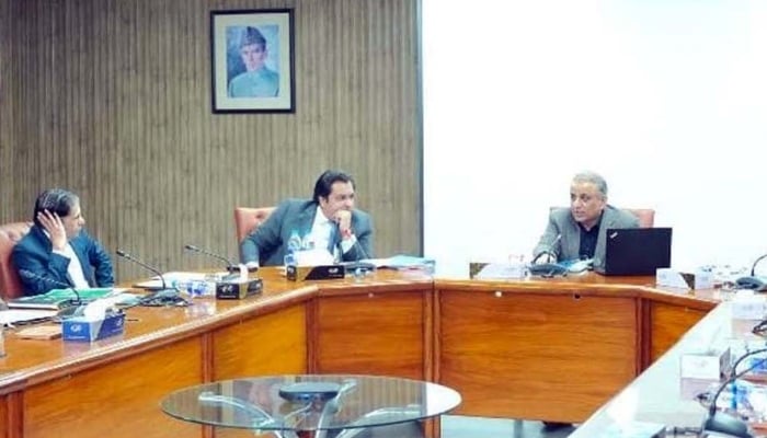 Federal Minister for Board of Investment, Privatisation & Communications, Abdul Aleem Khan presiding over 9th meeting of Approval Committee of BOI on January 7, 2025.— PID