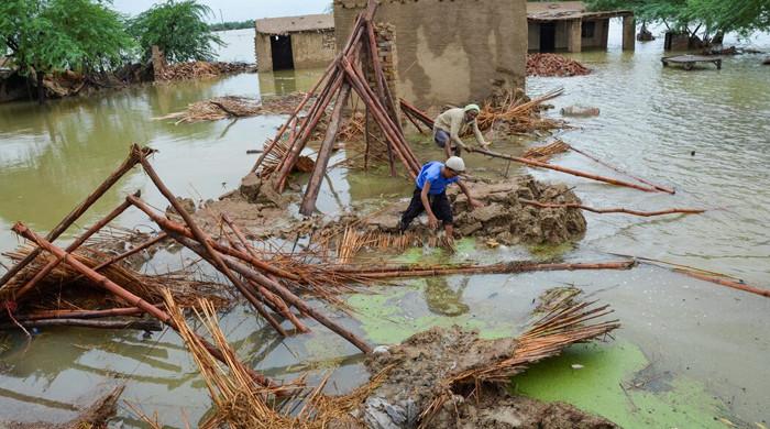 Pakistan may suffer $1.2tr climate losses by 2050: British envoy