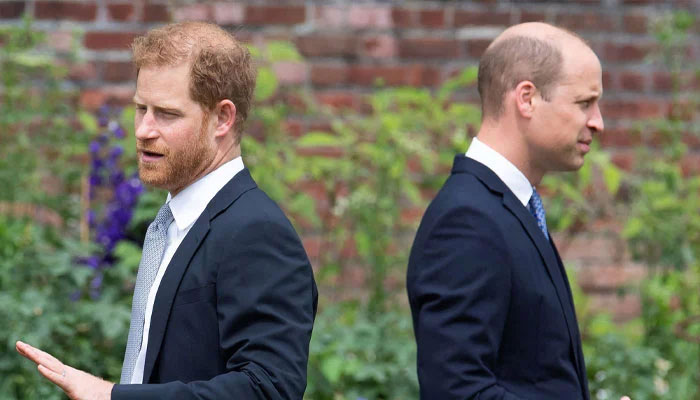 Prince Harry rift with Royal family deepens as William refuses to forgive
