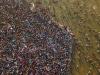 Stampede at New Delhi railway station claims at least 15 lives