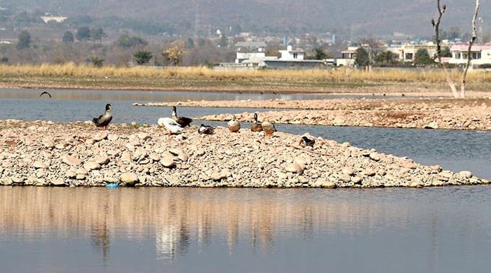Water scarcity: Country's biggest reservoir almost at dead level