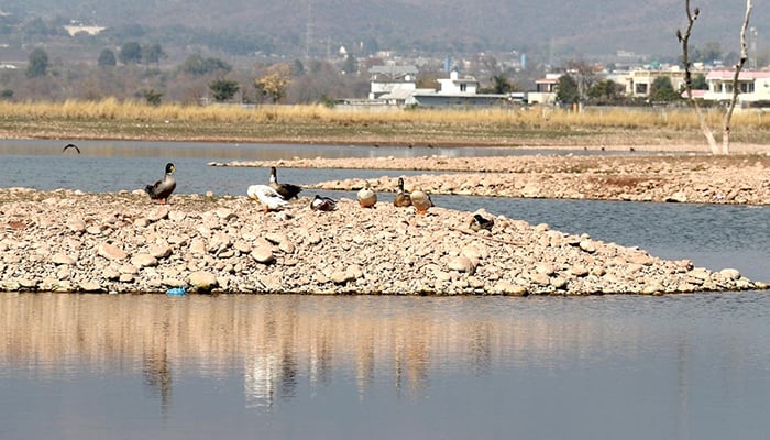 A view of the dry surface of Rawal Dam due to shortage of rain in twin cities, on February 17, 2025. — INP