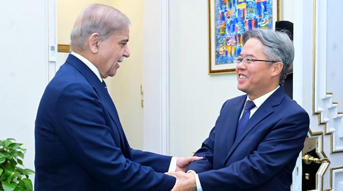 China pledges support for Pakistan's counterterrorism efforts