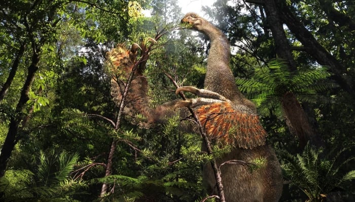 A life reconstruction of the Cretaceous dinosaur Duonychus tsogtbaatari, whose fossils were unearthed in Mongolia, is seen in this illustration obtained by Reuters on March 25, 2025. — Reuters