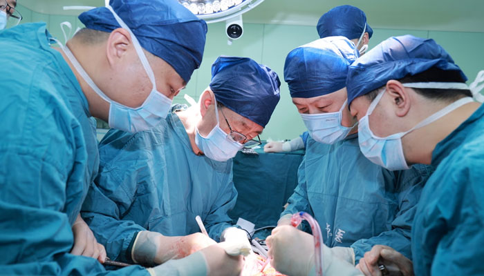 Surgeons plumb the liver of a genetically modified pig into the blood supply of a brain-dead patient as an additional liver. —  Xijing Hospital of Air Force Military Medical University