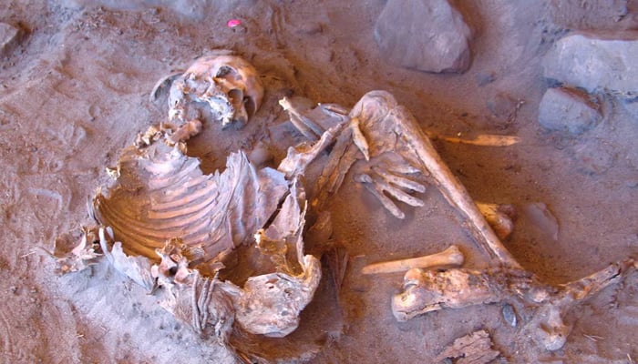 A 7,000-year-old natural mummy of a female found at the Takarkori rock shelter in southwestern Libya is seen in this handout photo released on April 2, 2025. — Reuters