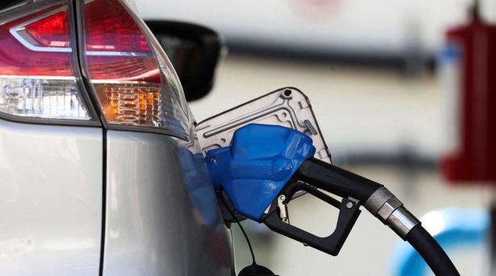 Govt 'aims' to maintain public, political support on fuel prices