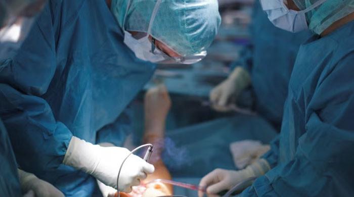 'Organ shortage resulting in up to 15 fatalities each day in Pakistan'