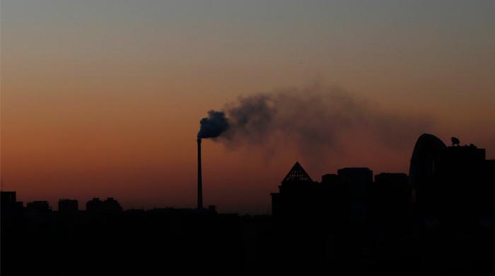 Carbon markets with a gendered lens