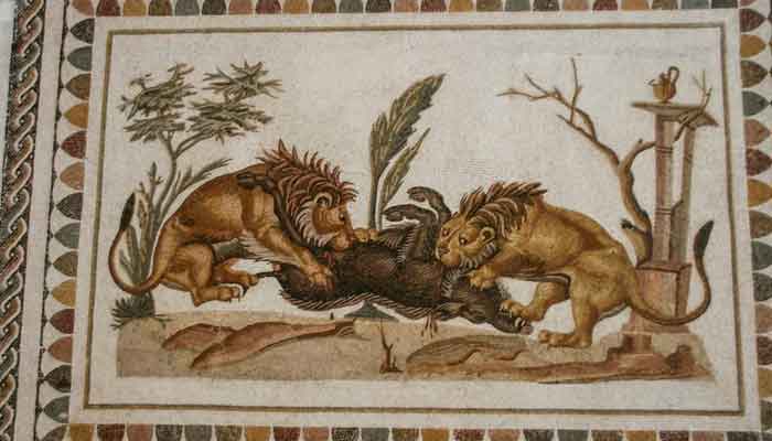 An ancient Roman mosaic depicting a scene of two lions attacking a boar, is on display at the El Jem archaeological museum in El Jem, Tunisia, December, 2011. — Reuters