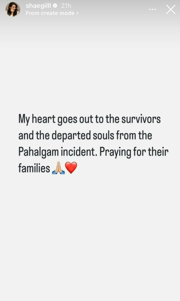 No to terror, yes to peace: Celebs denounce IIOJK carnage with heavy hearts